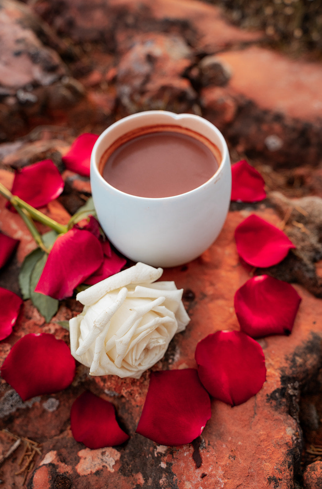 Macambo-Chuncho UNION (previously the Rainbow Bridge edition)